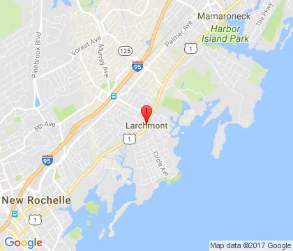 logo-image - larchmont-ny